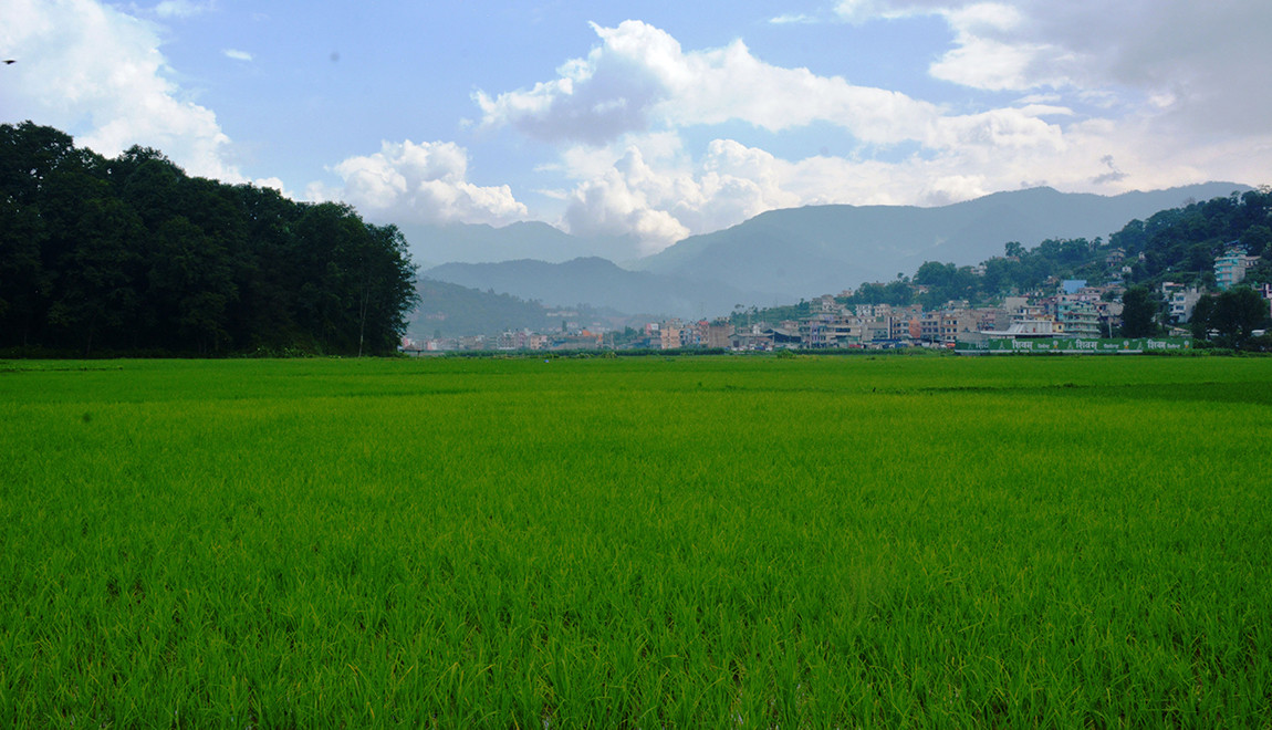 आजका तस्बिर- असार २६