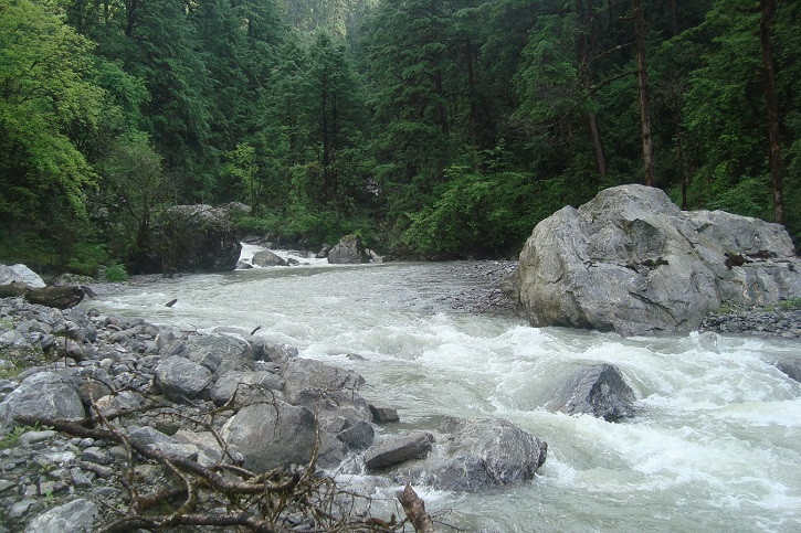 प्रतीकात्मक तस्बिर।