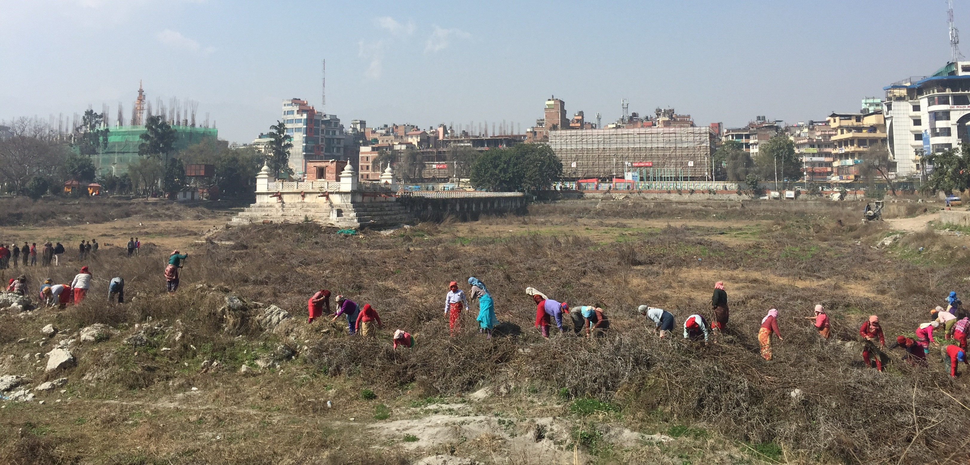 रानीपोखरी पुनर्निर्माण क्रममा घाँस उखेलिँदै। तस्बिरः राष्ट्रिय पुनर्निर्माण प्राधिकरण