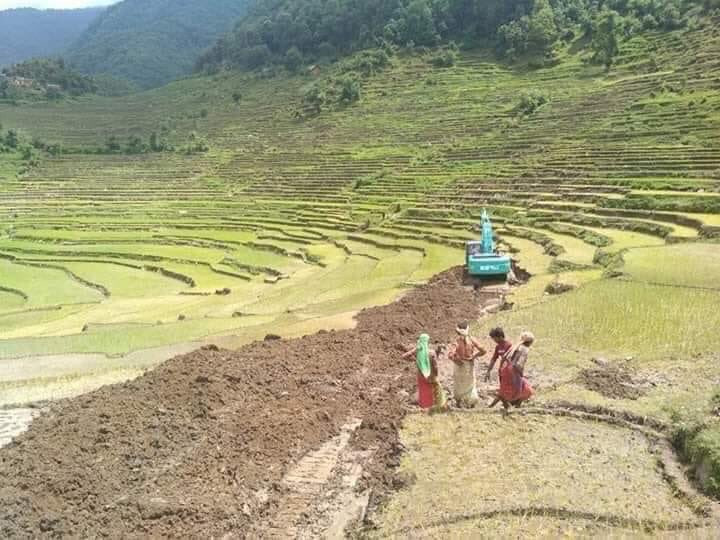 तस्बिर साभार : कान्तिपुर दैनिक।