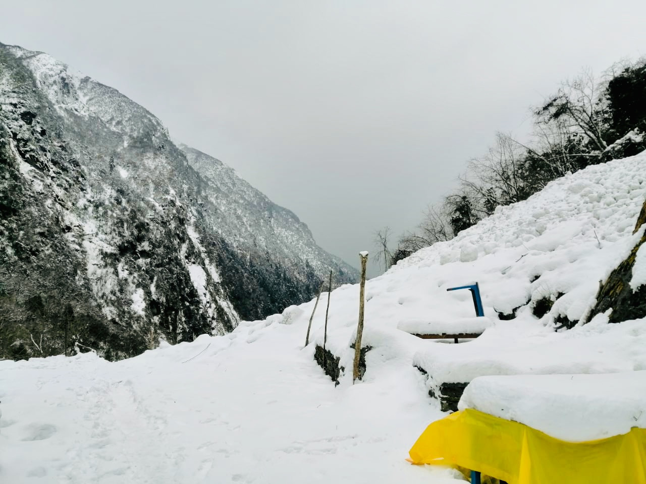 चार जना कोरियाली पदयात्री र तीन जना नेपाली सहयोगी हराइरहेको ठाउँ।