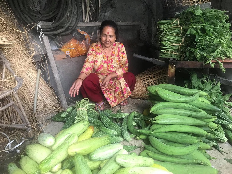 घिरौंला, करेला, सिमी, काँक्रा र फर्सीका मुन्टाका पसरबीच थुचुक्क बसेकी आमा।