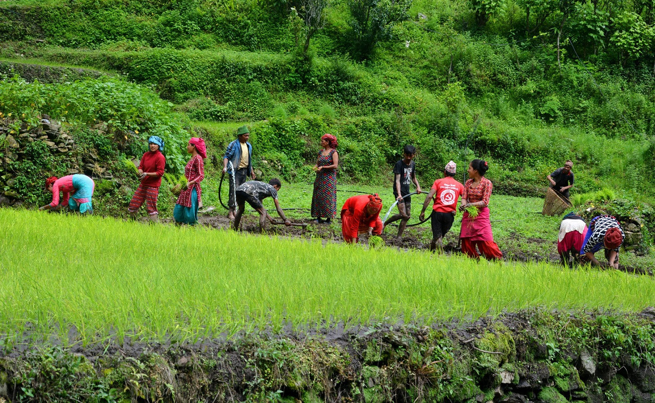 फाइल तस्बिर। रासस