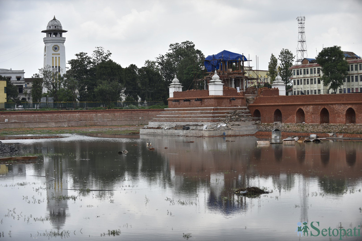 रानीपोखरीमा जमेको आकाशेपानी। तस्बिर: नारायण महर्जन/सेतोपाटी