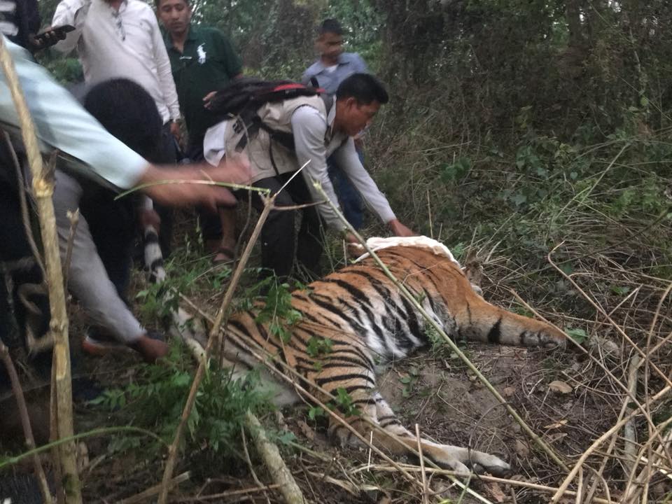 प्रतीकात्मक तस्बिर।