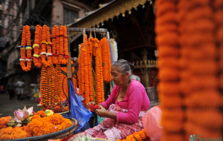 फाइल तस्बिर।