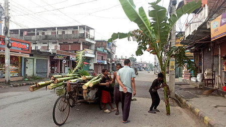 तराईमा तिहारमा बढ्यो केराका थामको बजार