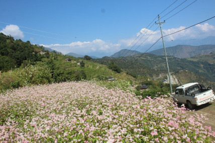 म्याग्दीका ६ सय घरमा विद्युत् विद्युतीकरण