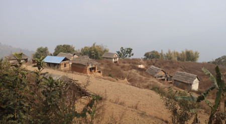 बाँदर आतंकले उजाडियो गाउँ, खण्डहर बन्यो वस्ती