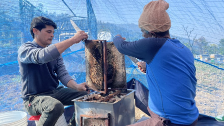 साउदीमा सास्ती खेपेर फर्केपछि सुरू गरे मह व्यवसाय, वर्षमा बचाउँछन् १० लाख