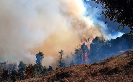 सामुदायिक वनमा लागेको आगो निभाउन कठिन, जोखिममा भेडीगोठ