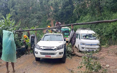 बाढी पहिरोमा परी एक सय जनाको मृत्यु, ६७ बेपत्ता