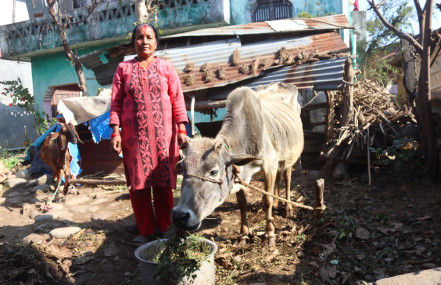 पार्वतीले सडकमा छोड्न सकिनन्​ धौलीलाई