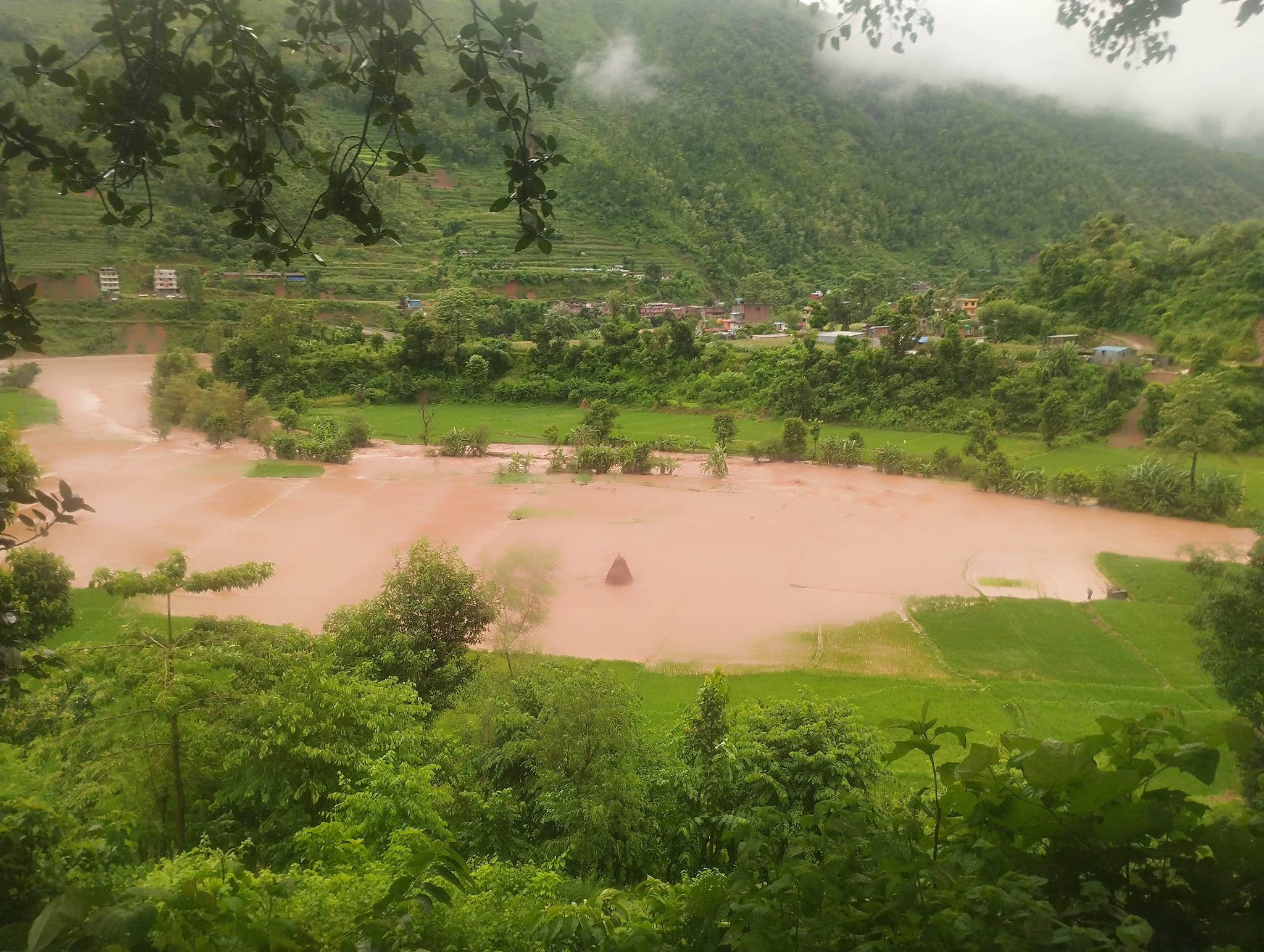 साउन १६ गतेको भेलबाढीले नुवाकोट, तारकेश्वरको कोशीफाँटमा पुर्‍याएको क्षति। तस्बिरः रासस