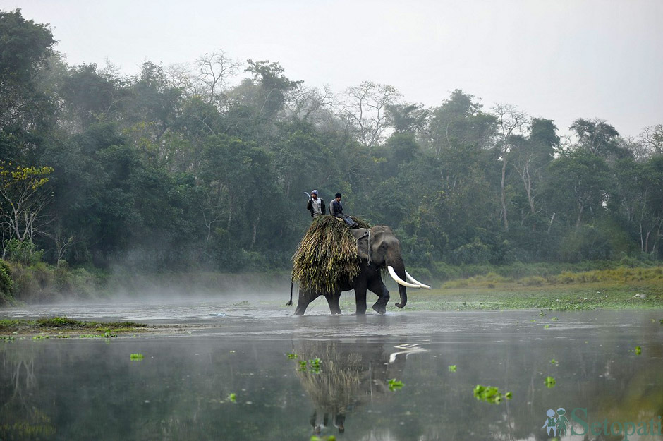 Beautiful-Chitwan-4-1698249140.jpg