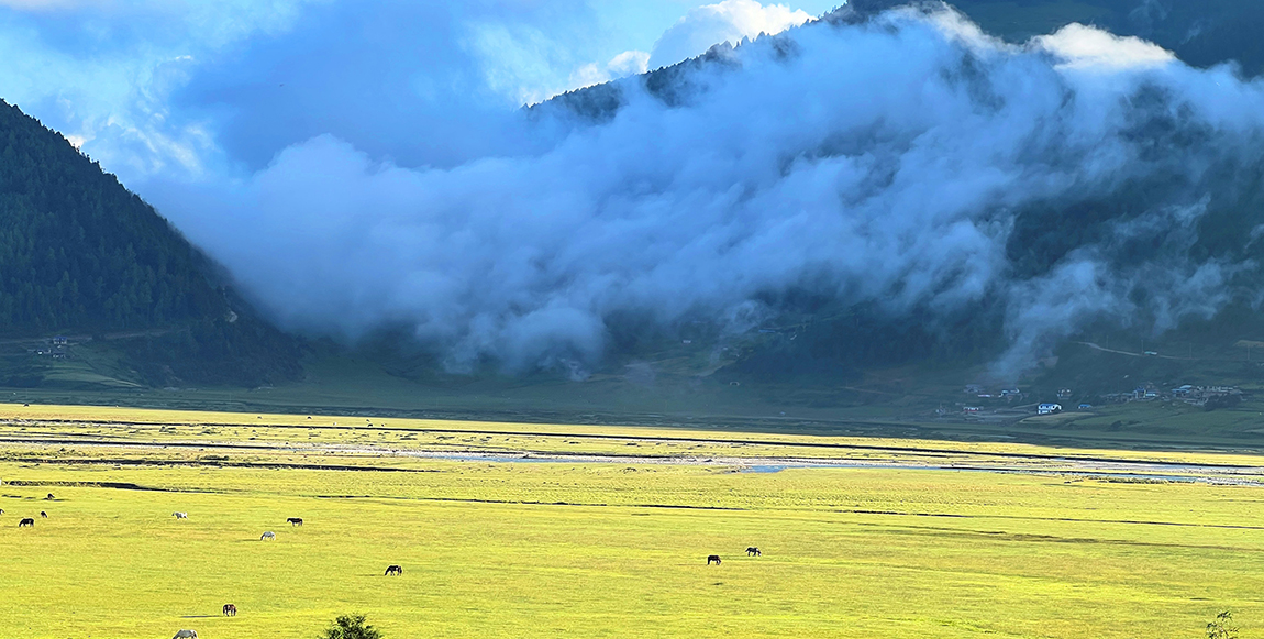 आजका तस्बिर- भदौ २४