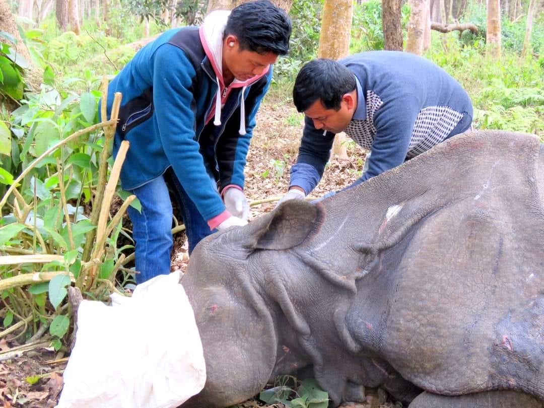 फाइल तस्बिरः राजेश घिमिरे/सेतोपाटी