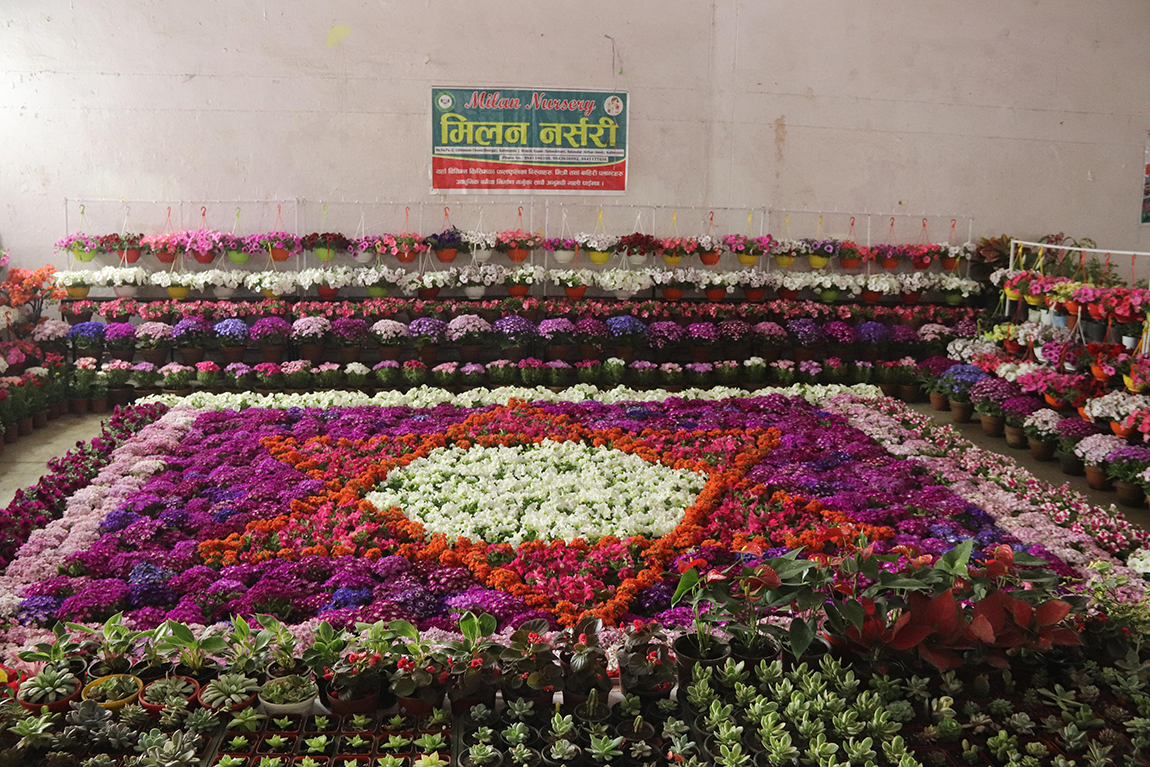 नर्सरी व्यवसायी संघ नेपालले चैत १६ गतेदेखि १९ गतेसम्म काठमाडौंको भृकुटीमण्डपमा आयोजना गरेको नेसनल हर्टिकल्चर एक्स्पो–२०८० मा प्रदर्शनीमा सजाएर राखिएका विभिन्न फूल। तस्बिरः हरिराम भेटुवाल/रासस