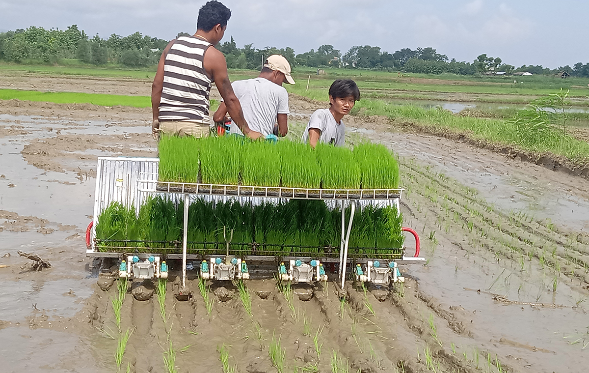 तस्बिर: मोहन खनाल