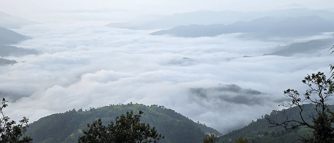 आजका तस्बिर- साउन २९