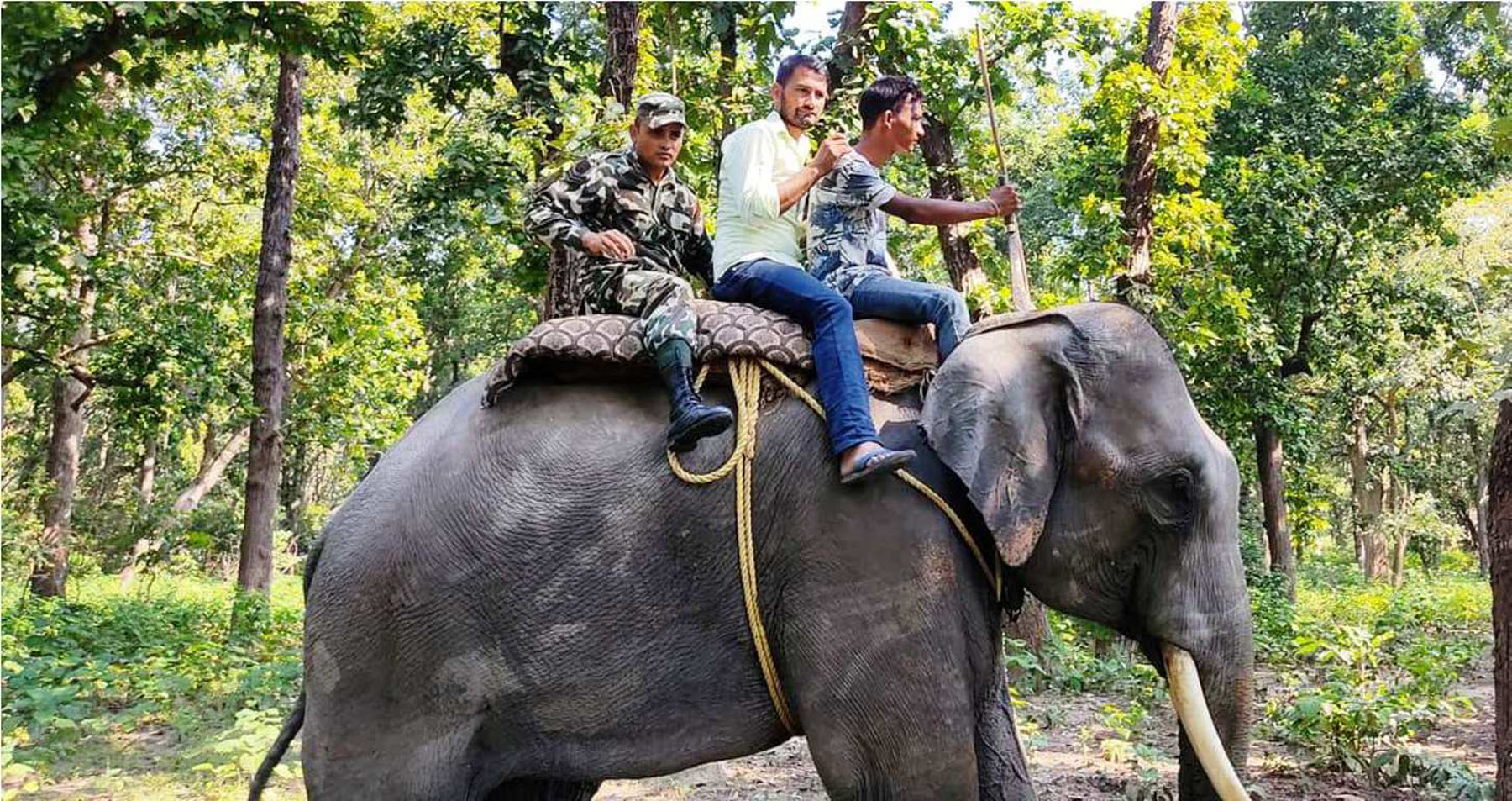 तस्बिर: राजेन्द्रप्रसाद पनेरू/रासस