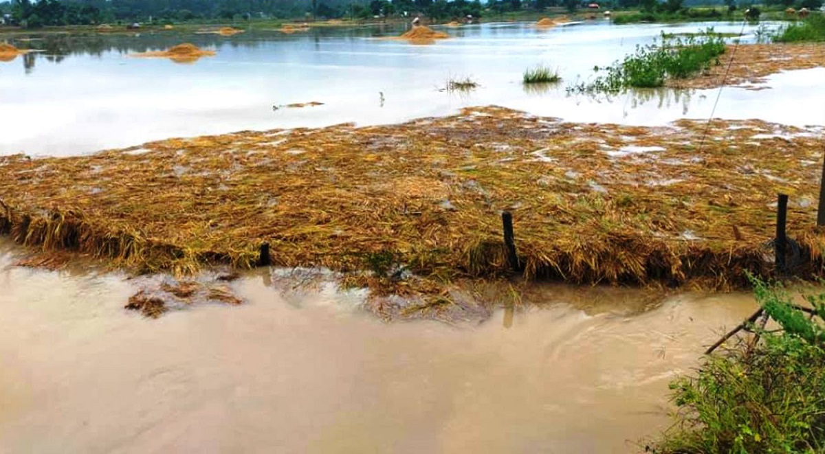 तस्बिर: राजेन्द्रप्रसाद पनेरू/रासस।