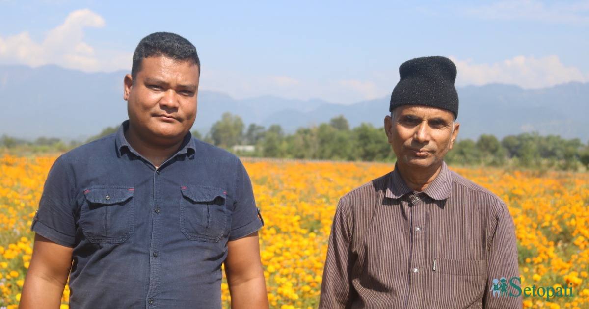 Sharma-and-Budha-1699371694-ink-1699418407.jpeg