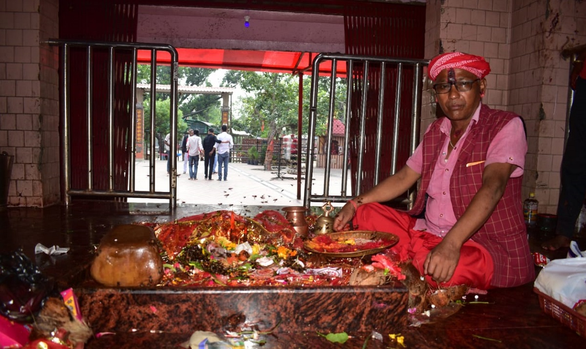 तस्बिर स्रोत: नितेशकुमार गुप्ता।