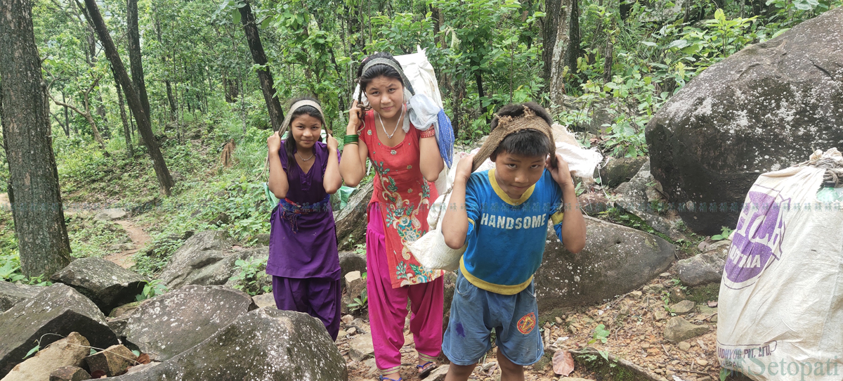 भारी बोक्दै निरुता चेपाङ र उनका भाइ बहिनी। तस्बिर: राजेश घिमिरे/सेतोपाटी।