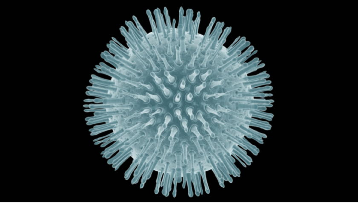 фильтрация вирусов. 1892 – д. ультрафильтрационная мембрана схема. мембранный фильтр принцип обратного осмоса. фильтрация вирусов.