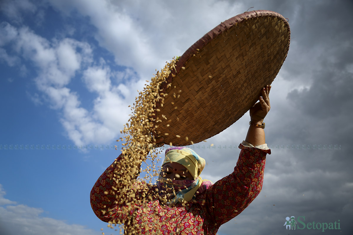 फाइल तस्बिर।