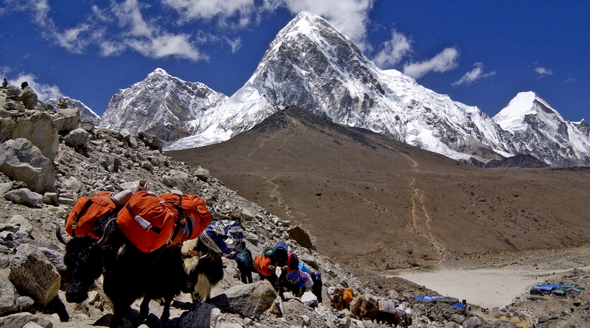 तस्बिर स्रोतः नेपाल पर्यटन बोर्ड