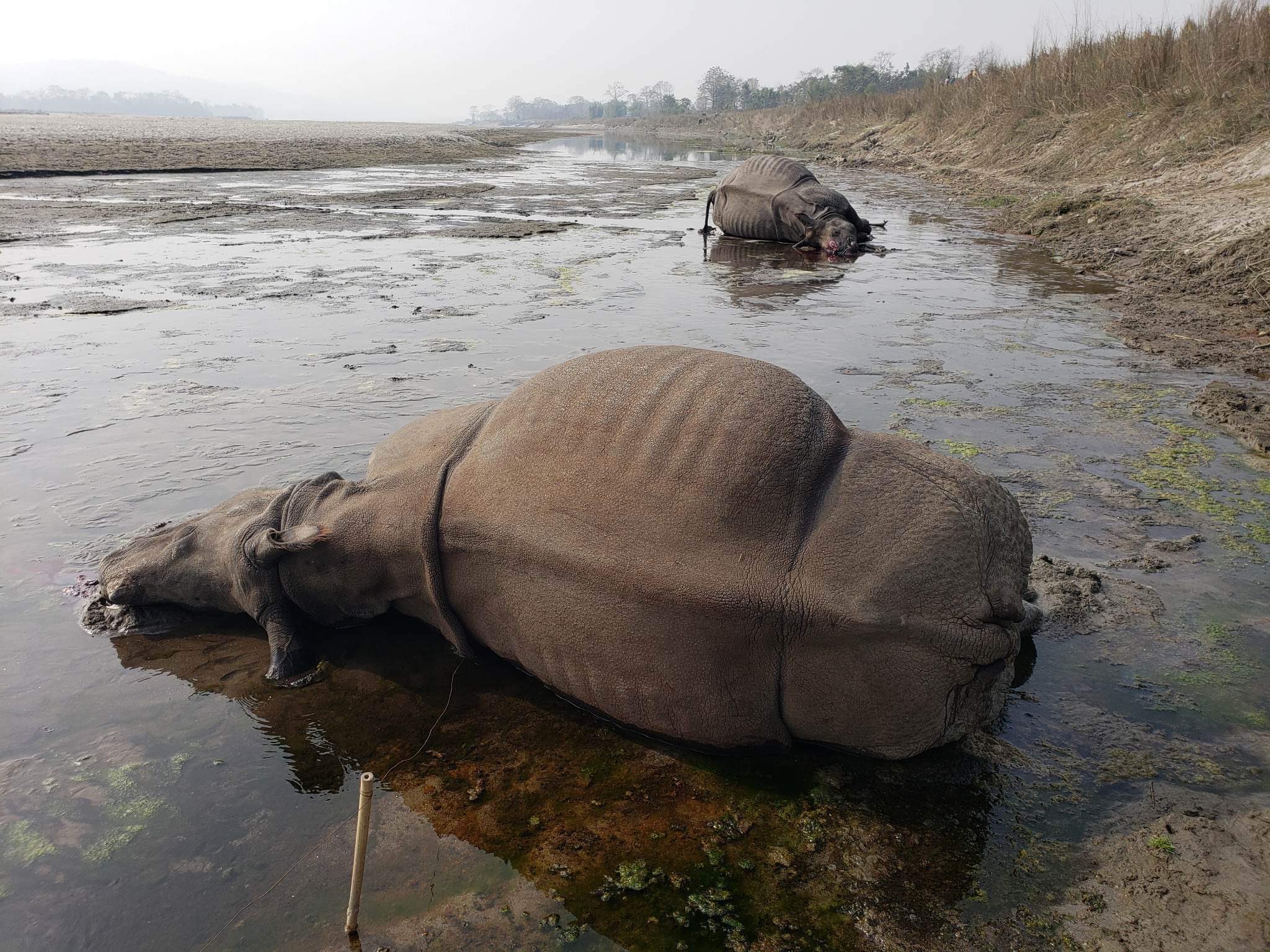 फाइल।