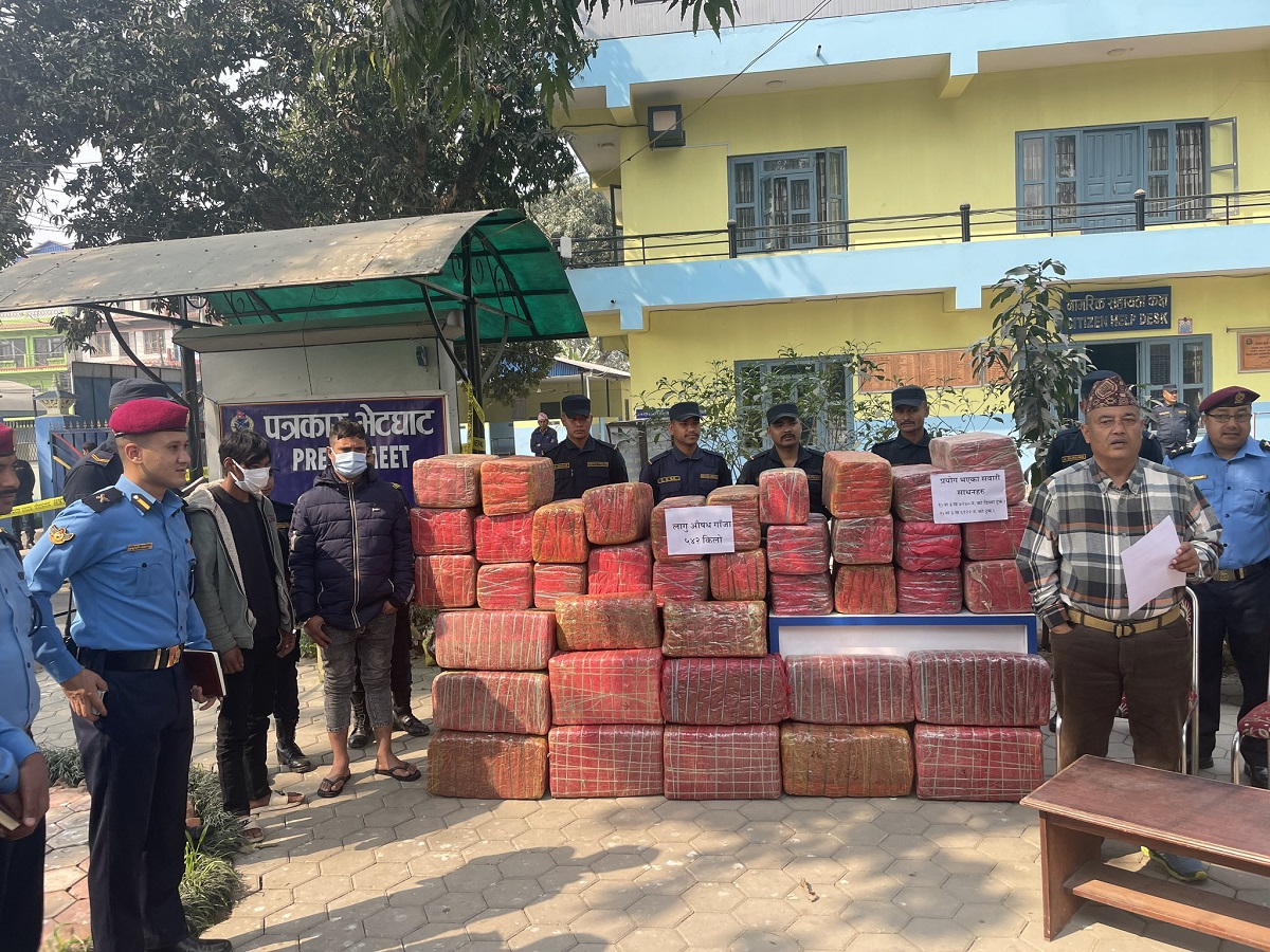 चितवनमा ५ सय ४२ केजी गाँजा बरामद सेतोपाटी संवाददाता Setopati