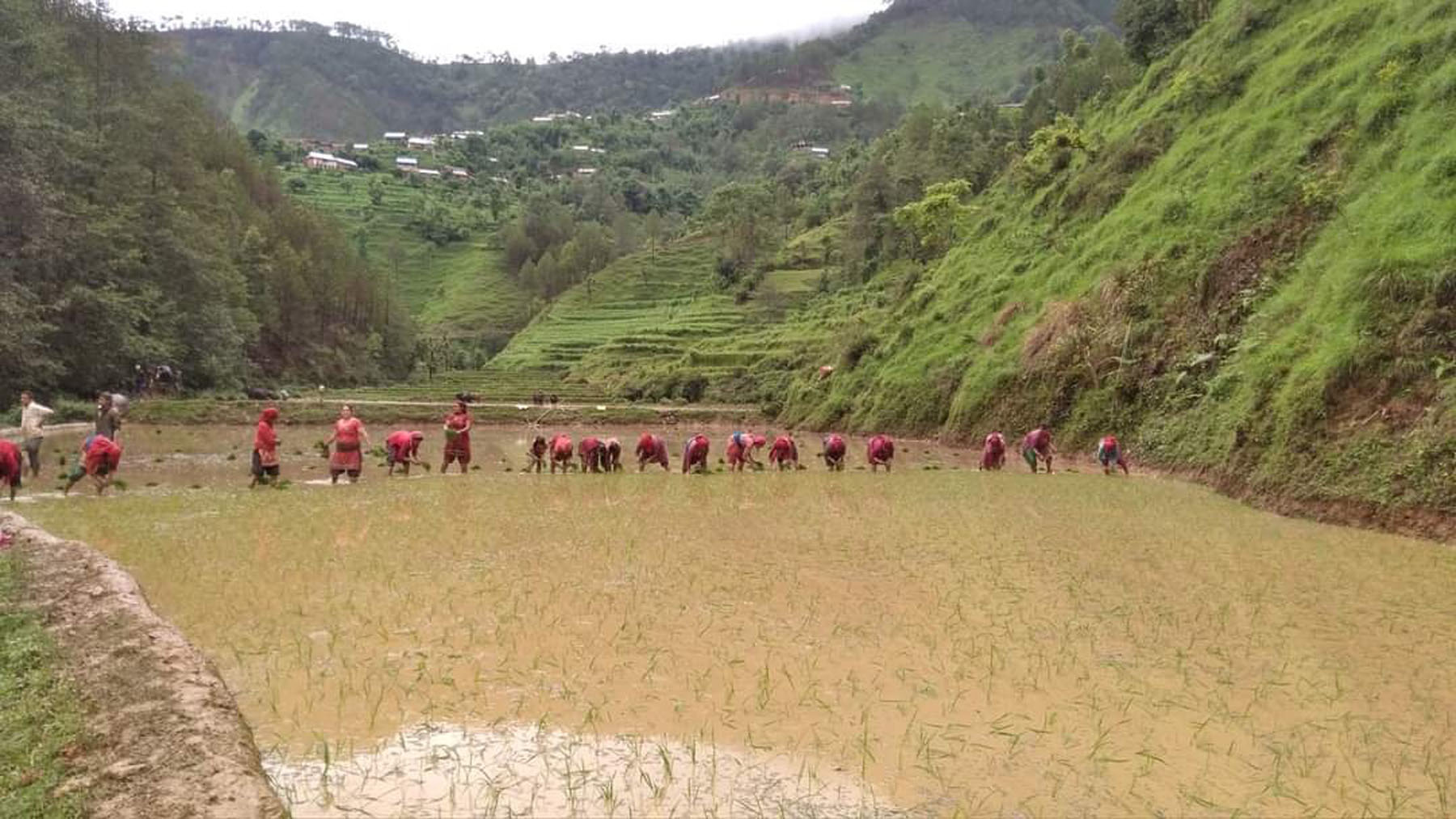 प्रतीकात्मक तस्बिर।