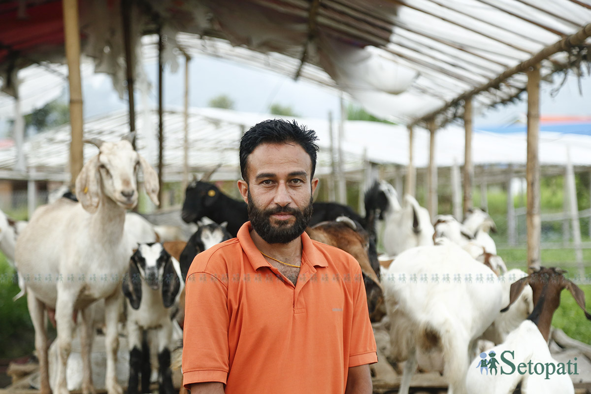 गोठालो फार्म हाउसका सञ्चालक विनोद घिमिरे। तस्बिरः नवीनबाबु गुरूङ/सेतोपाटी