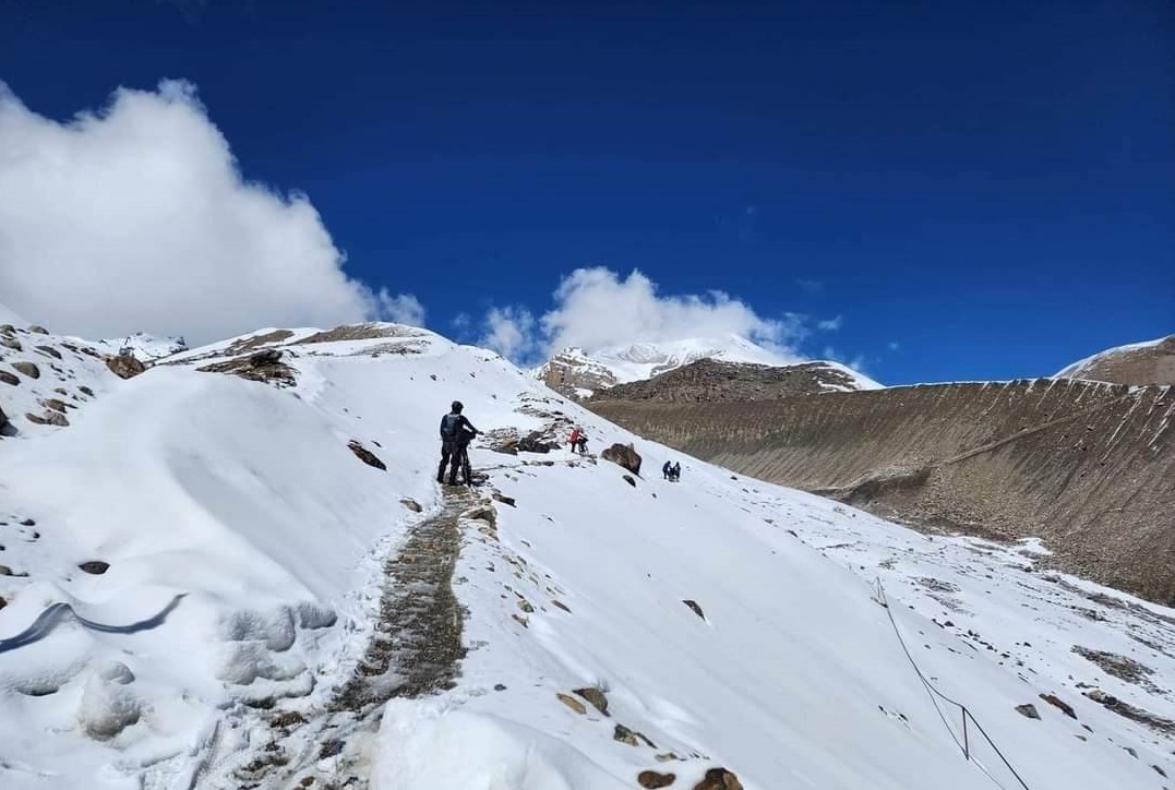thopass-1702113115.jpg