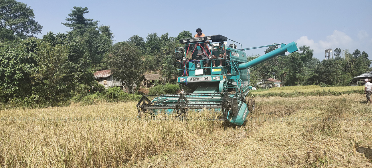 तस्बिर: राजेश घिमिरे/सेतोपाटी।