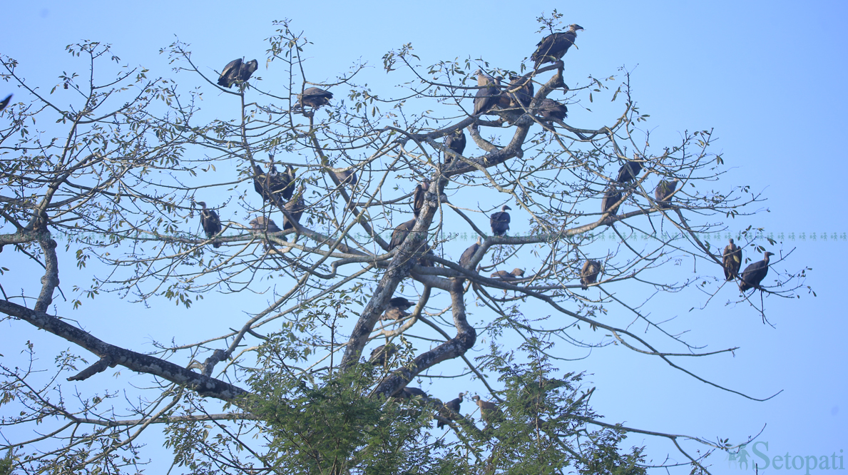 फाइल तस्बिर।